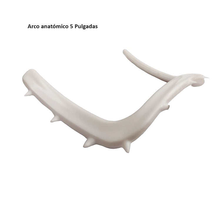 Arco de Young Anatómico 5 pulgadas