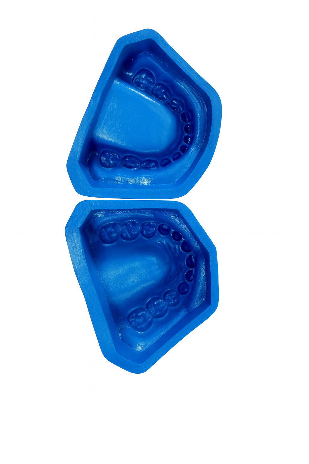 Molde tipodonto dentando infantil mixto 2 piezas
